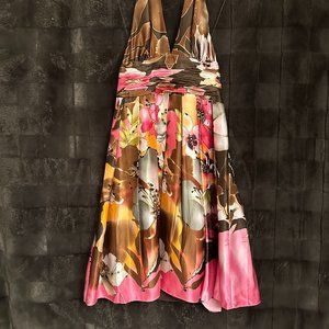 Gorgeous Like New Adrianna Papell Silk Dress